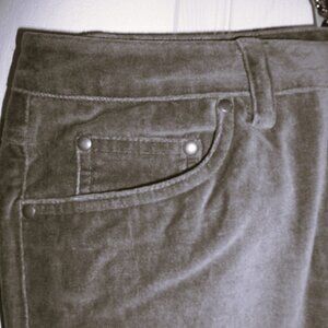 Chadwick's 100% cotton womens cocoa brown pant, velvet look, size 12 Petite
